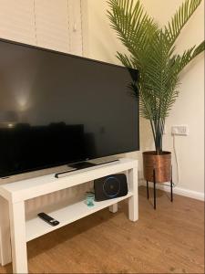 a large flat screen tv on a white stand with a potted plant at Kingmaker House, Free Driveway Parking and Garden! Fully Equipped, Sleeps 5 Guests in Northampton