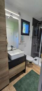 a bathroom with a sink and a toilet and a mirror at Loft de jardin le 8 in Locminé