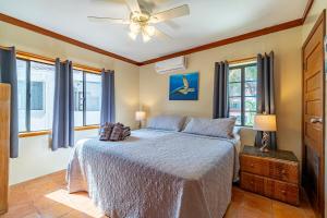 a bedroom with a bed and a ceiling fan at Tradewinds Paradise Villas in San Pedro