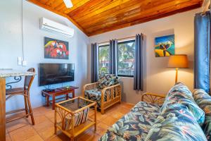 a living room with a couch and a tv at Tradewinds Paradise Villas in San Pedro