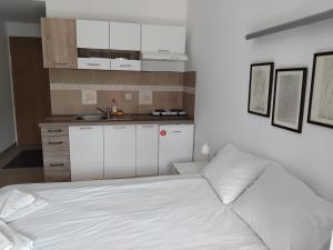 SMEŠTAJ SOLARIS kod Aqua Parka Studio Apartmani tesisinde mutfak veya mini mutfak