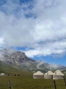 Gallery image of Yurt camp Visit Kol-Suu in Kol-Suu