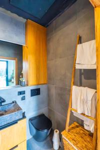 a bathroom with a bunk bed and a toilet at Loft na wodzie - Bogaczewo in Bogaczewo