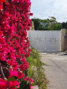Un mazzo di fiori rosa davanti a una recinzione di B&B La Rosa dei Venti a Brindisi