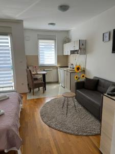 Kuchyň nebo kuchyňský kout v ubytování Angellina Apartmani