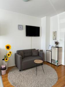 TV a/nebo společenská místnost v ubytování Angellina Apartmani