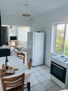 Nhà bếp/bếp nhỏ tại KALLIOPI amari