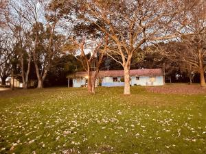 Κήπος έξω από το Cozy Country House in Colonia - Uruguay +42 φωτογραφίες