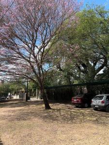 Fotografie z fotogalerie ubytování Complejo de alojamiento kempes Córdoba v destinaci Cordoba