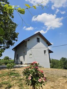 Budova, kde se prázdninový dům nachází + 27 fotografií