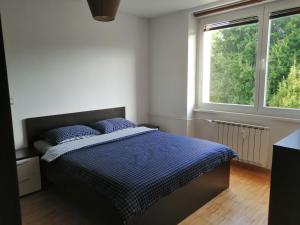 a bedroom with a bed with a blue comforter and two windows at city center park view appartment in Maribor