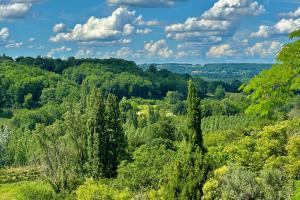 a view of a wooded area with trees at Au Cœur de GENSAC, village de charme dominant la Dordogne in Gensac