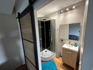 a bathroom with a shower and a toilet and a sink at Au Cœur de GENSAC, village de charme dominant la Dordogne in Gensac