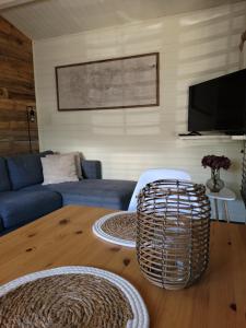 TV a/nebo společenská místnost v ubytování Rustig gelegen chalet Solvo met terras aan het water