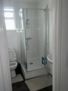 a bathroom with a shower with a toilet and a sink at Cosy 1 Bedroom Bungalow Between Basildon & Wickford in Nevendon +13 photos