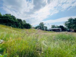 a field of tall grass with an object in the background at Bell tent Boven Duin in 't Horntje