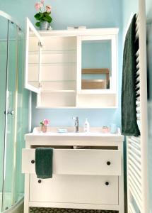 un baño con lavabo y espejo en Le Jardin Des Délices charming house in Troyes, en Troyes