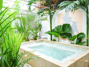 Фотография из галереи La Tribu Boutique Hostel for women в Пуэрто-Вьехо