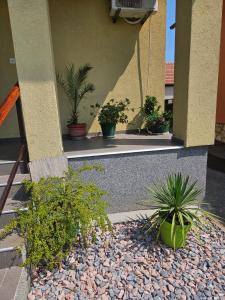 Fotografie z fotogalerie ubytování Studio apartman Dora v destinaci Ilok + 12 fotografií