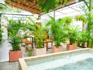 Сад в La Tribu Boutique Hostel for women