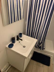 ein Badezimmer mit einem weißen Waschbecken und einer Dusche in der Unterkunft La Grande Terrasse, appartement rez-de-jardin in Caen