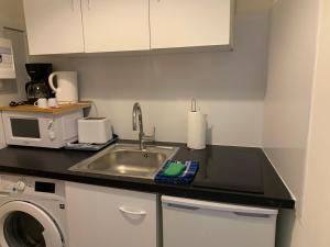 eine Küche mit Spüle und Waschmaschine in der Unterkunft La Grande Terrasse, appartement rez-de-jardin in Caen