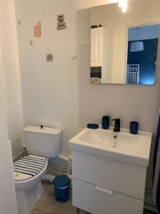 ein Badezimmer mit Toilette, Waschbecken und Spiegel in der Unterkunft La Grande Terrasse, appartement rez-de-jardin in Caen
