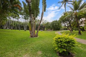 Κήπος έξω από το MBP103S Beautiful Modern Remodeled Maui Banyan Studio