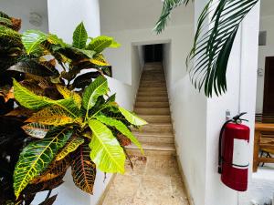Fotografie z fotogalerie ubytování Vista Bayahibe Paradise v destinaci Bayahibe