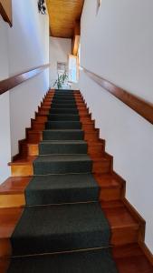 a staircase with green carpeting and wooden floors at Casa Giulia in Calalzo