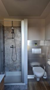 a bathroom with a shower and a toilet and a tub at Ferienwohnung Hauptmann in Frauenwald +34 photos