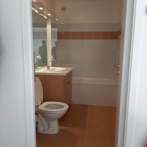 a bathroom with a toilet and a sink and a tub at Studio relooké Le Grand Tétras 2 étoiles in Aulus-les-Bains