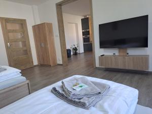 Televízia a/alebo spoločenská miestnosť v ubytovaní Apartmány Lucie