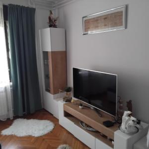 a living room with a large flat screen tv at Marina Gloria in Zadvorsko