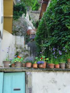 Imagen de la galería de Le Liseron Bleu, en Vienne