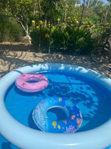 two inflatable toys in a pool in a yard at Guesthouse TEA in Kutaisi
