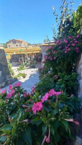 a bunch of pink flowers in a garden at Assos Egedebirnefes Kır Evi in Ayvacık