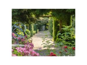 a garden with a pathway with flowers and a bench at Holiday apartment Kutscherstube in Altenbeken +13 photos