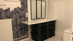 a bathroom with a sink and a mirror at Le Bibrou Appartement 2 chambres in Heuringhem