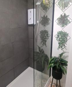 a shower with a glass door and a potted plant at Moonlight Lodge in Caeathro