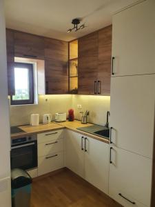 Dapur atau dapur kecil di Zlatibor Eden Lux&Relax