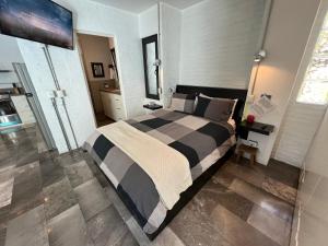 a bedroom with a large bed in a room at CASA MAC San Miguel de Allende in San Miguel de Allende
