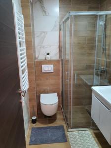 Bilik mandi di Zlatibor Eden Lux&Relax +17 gambar