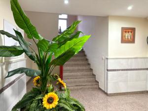 Kép Costa Del Sol Seaside Studio - 5 Mins From Beach szállásáról Fuengirolában a galériában