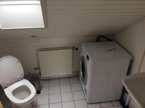 ein kleines Bad mit einem WC und einer Waschmaschine in der Unterkunft Aarstidernes BB in Silkeborg