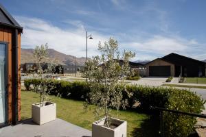 two trees in white pots in a yard at Wanakas home away from home in Wanaka