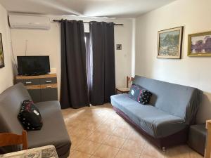 a living room with a couch and a tv at Apartments with parking space Metajna, Pag - 4127 in Zubovići
