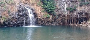 Fotografie z fotogalerie ubytování CampCar Maui Jeeps SUVs Hybrid Camper van Rentals with equipment and Travel Advice v destinaci Kahului + 30 fotografií