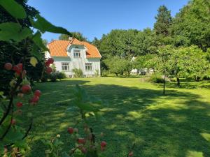 a house with an apple tree in the yard at Landlig idyll 200 meter fra sjøen in Lillesand +15 photos