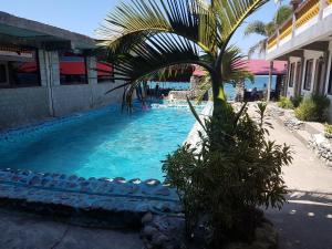 a palm tree sitting next to a swimming pool at White Castle Beach Resort in Iba